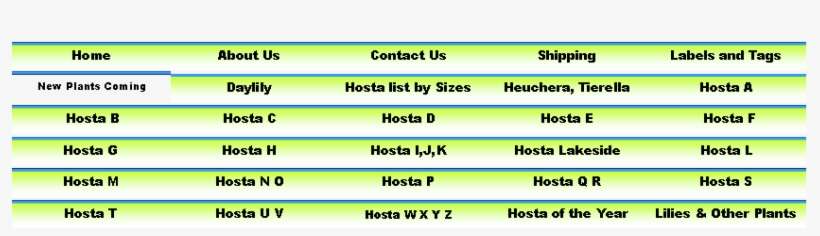 Plant Name - Plantain Lilies, transparent png download