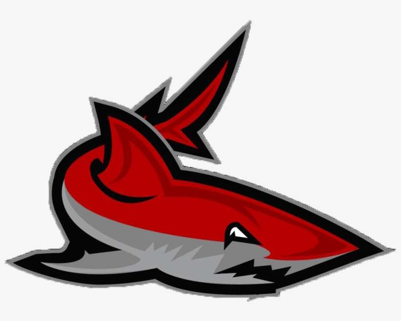 Atlanta Sharks, transparent png download