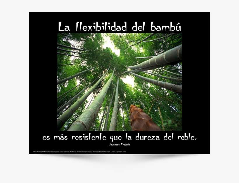 The Bamboo Which Bends - Osho Quotes Bamboo, transparent png download