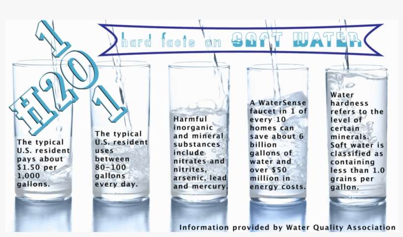 Water Facts - Water, transparent png download