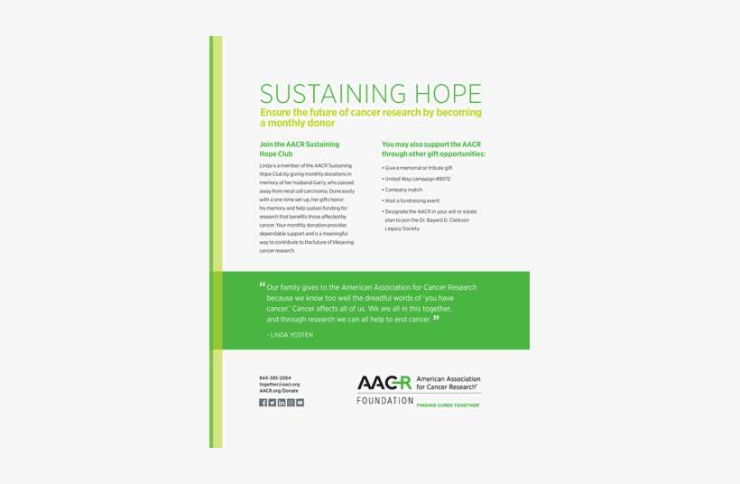 Brochure, transparent png download