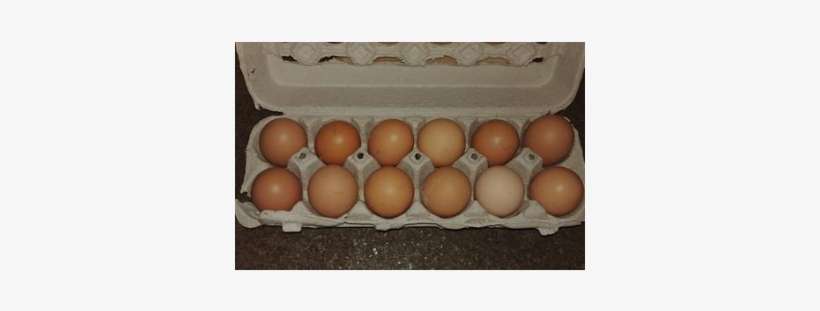 Double Tap To Zoom - Egg, transparent png download