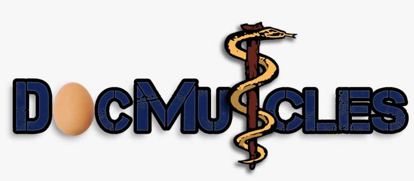 Docmuscles Ketonianking Ketogenic Lifestyle - Weight Loss, transparent png download