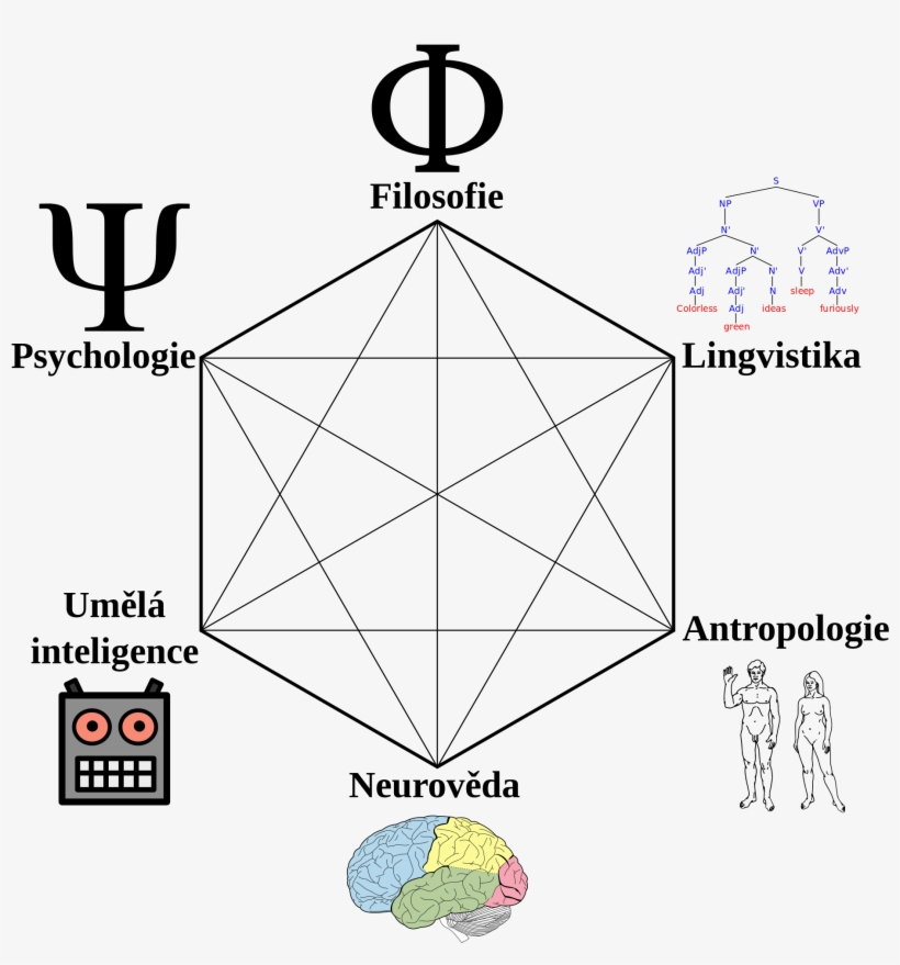 Cognitive Science Hexagon Cs - Cognitive Science, transparent png download
