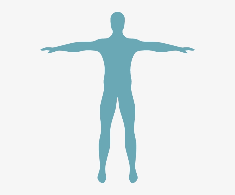 Tabaquismo En Los Adultos - Illustration, transparent png download