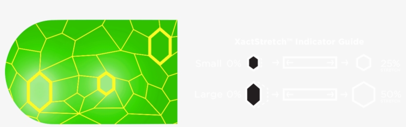 Simply Stretch The Small Hexagon Shape To Form An Equilateral - Net, transparent png download