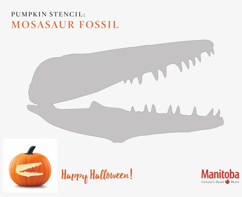 Mosasaur Fossil Pumpkin Carving Stencil - Polar Bear Pumpkin Carving, transparent png download