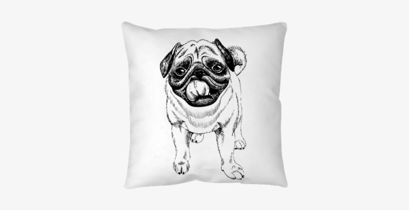 Portrait Of Pug Dog - Mops Kreslený, transparent png download
