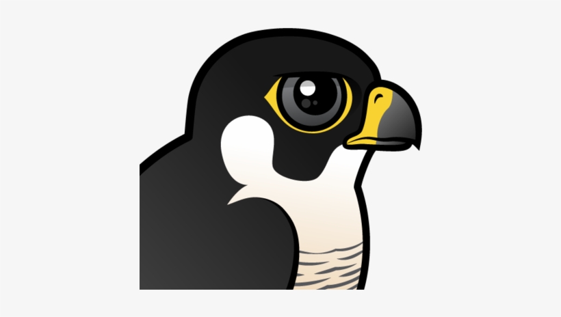 About The Peregrine Falcon - Peregrine Falcon Cartoon, transparent png download