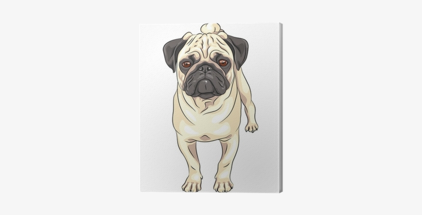 Vector Sketch Cute Dog Pug Breed Canvas Print • Pixers® - Perro Pug Para Dibujar, transparent png download