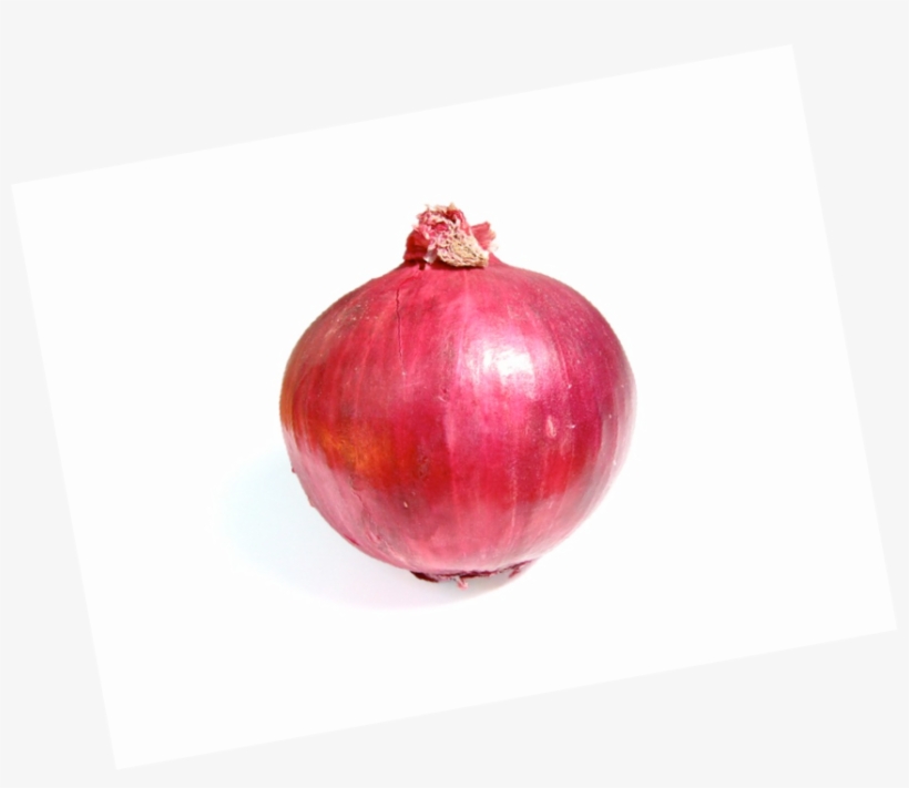 Onion Fun Facts - Red Onion- 50 Seeds, transparent png download