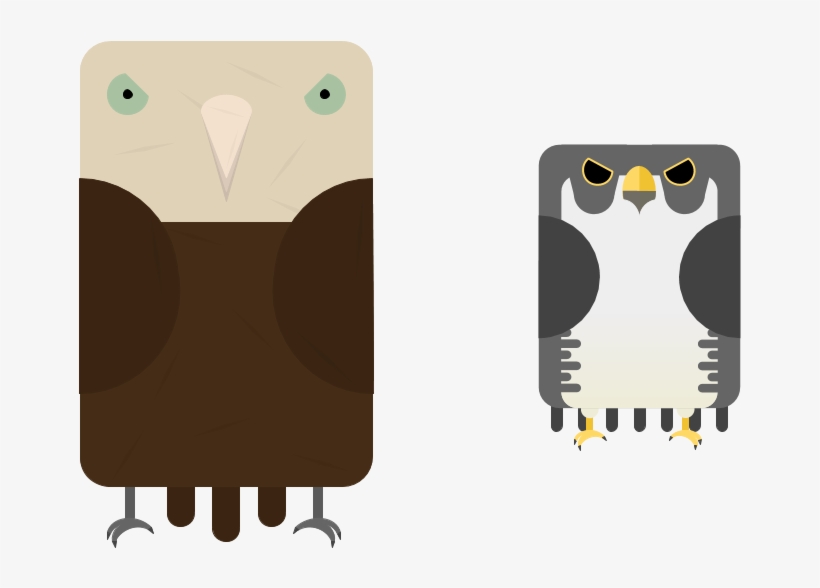 Animalgiant Petrel - Owl, transparent png download