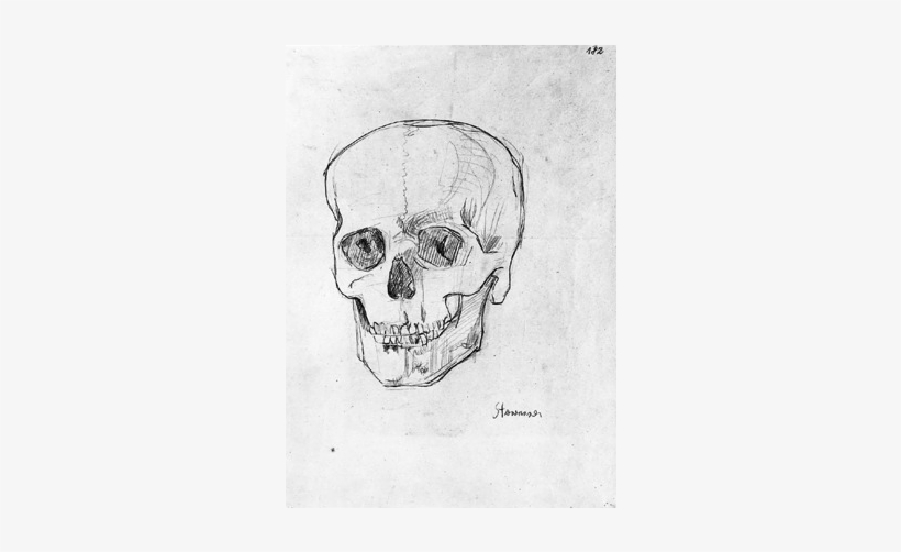 Pencil On Wrapping Paper 450 Mm X 320 Mm - Skull, transparent png download