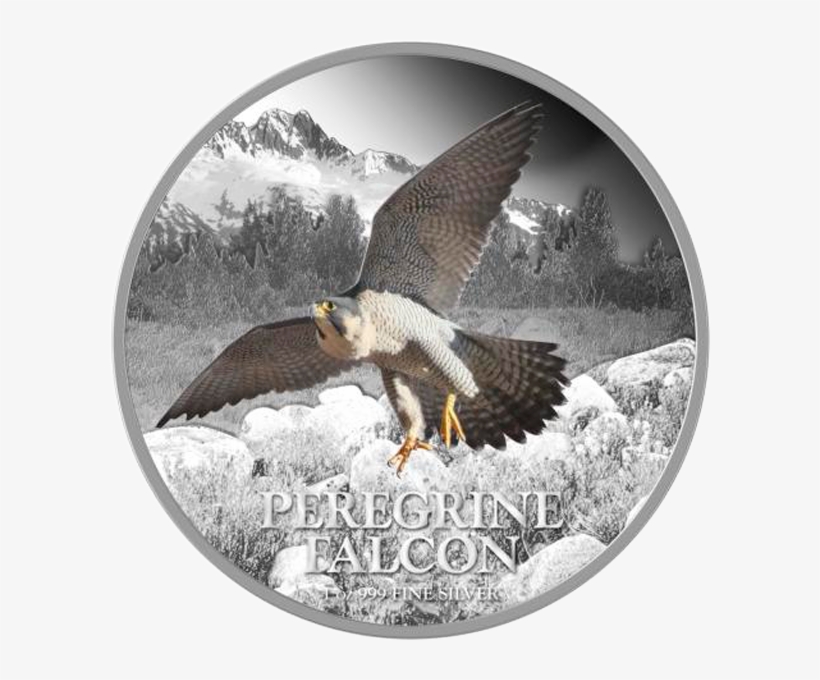 Niue 2013 2$ Peregrine Falcon Birds Of Prey Proof Silver - Silver, transparent png download