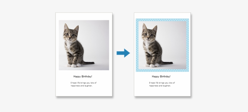 Añada Una Toque Elegante A Sus Elementos Decorando - Amazing Life Of Cats, transparent png download