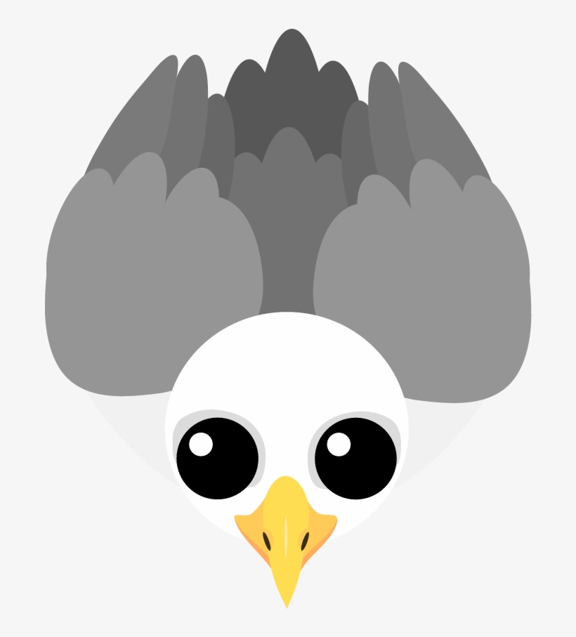 Https - //i - Redd - It/4efc2qh2s1h11 - Portable Network Graphics, transparent png download