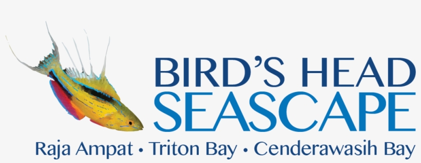 Bird's Head Seascape Library / Research / Biodiversity, - Raja Ampat, transparent png download