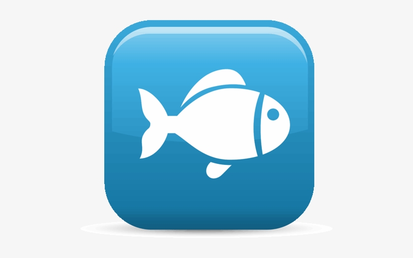 A Big Fish Story When Social Media Attacks A Chicago - Life, transparent png download