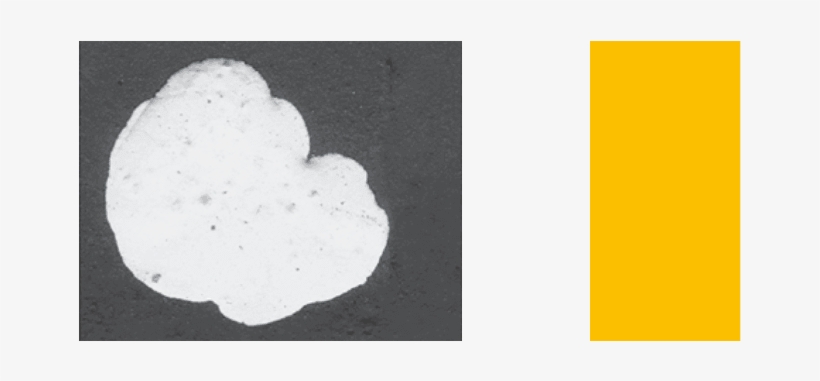 Teatre P 1 - La Seca Espai Brossa, transparent png download