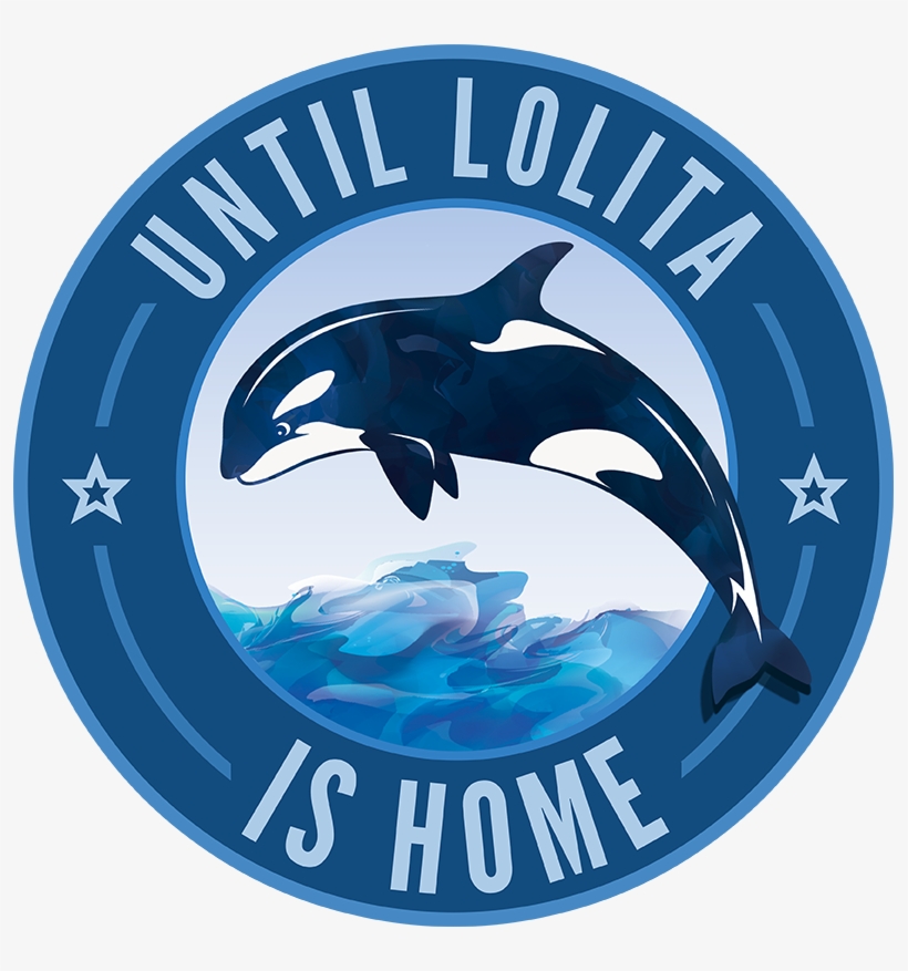 Until Lolita Is Home - Fourth Street Bbq Charleroi Pa, transparent png download