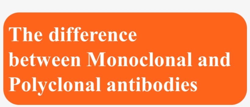 Krak Des Chevaliers, transparent png download