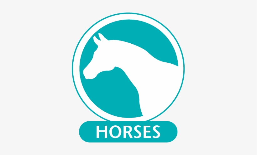 Panels Of Monoclonal Antibodies Are Available For A - Stallion, transparent png download