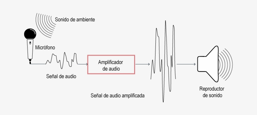 Basada En Guaida David - Diagram, transparent png download