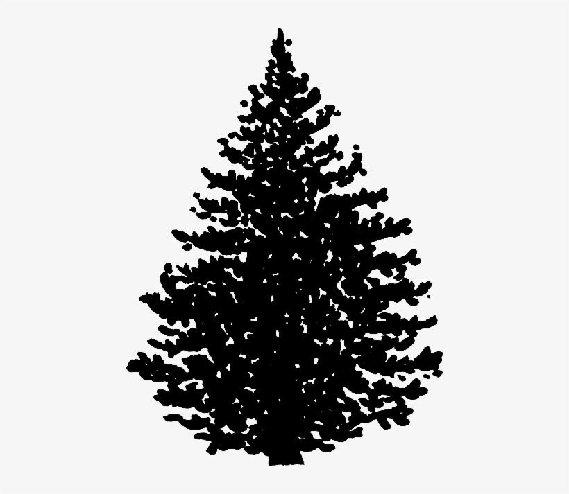 Seeing The Forest For The Trees - Forest, transparent png download