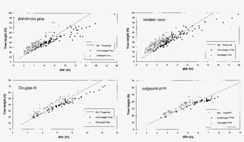 Height And Diameter Of Damaged And Undamaged Ponderosa - Chlorpheniramine Ph Solubility Profiles, transparent png download