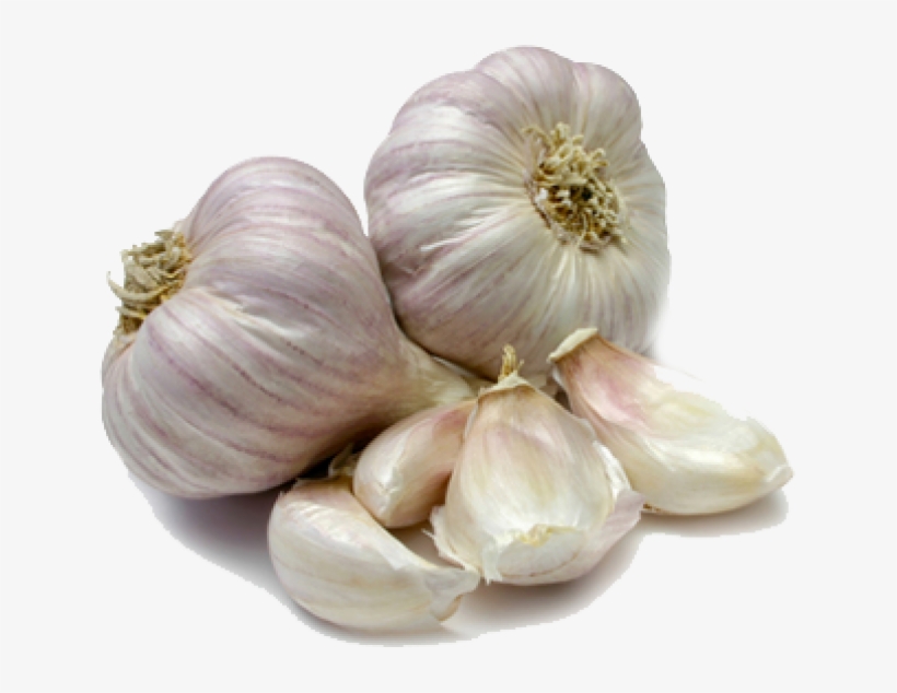 Ajos Png - Garlic Indian, transparent png download