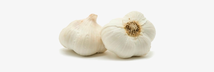 Ajo - Garlic, transparent png download