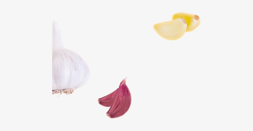 Ajos - Garlic, transparent png download