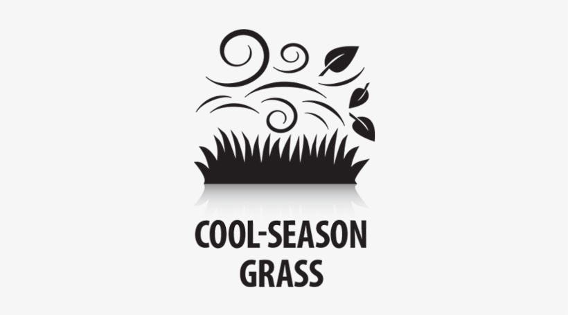 Cool Season Grass - Simvalley Mobile Dual Sim Smartphone, transparent png download