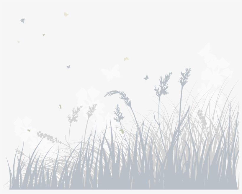 Visceral Leishmanaisis In Eastern Sudan, transparent png download