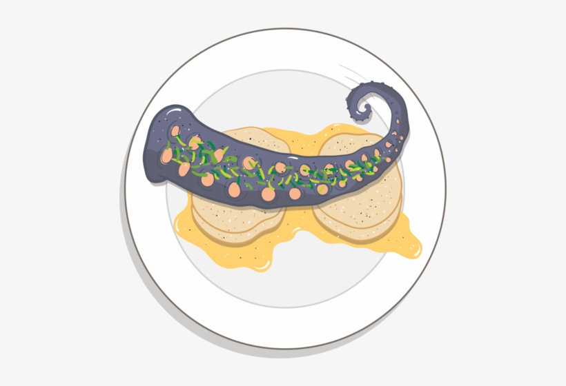 Pulpo A La Plancha - Earth University, transparent png download