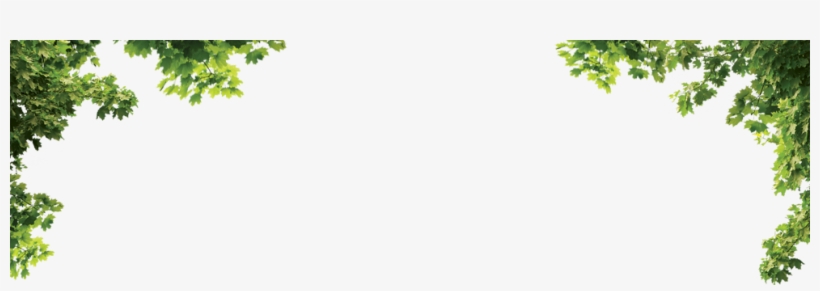 303, Wattpad, Projects To Try, Moldings - Parque Biológico Da Serra Da Lousã, transparent png download