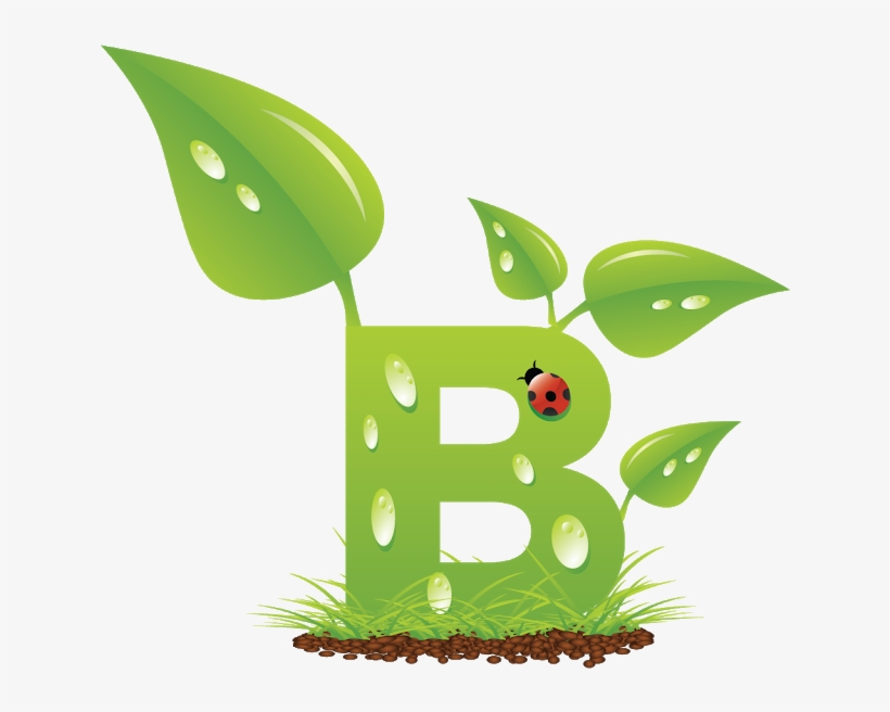 Blindada Por Deus - Letters With Plants, transparent png download