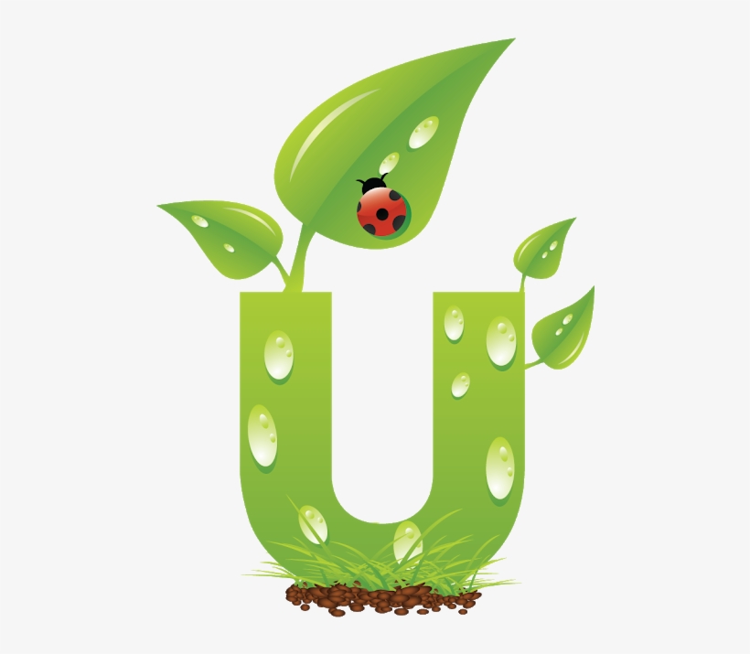 Blindada Por Deus - Ladybird Beetle, transparent png download