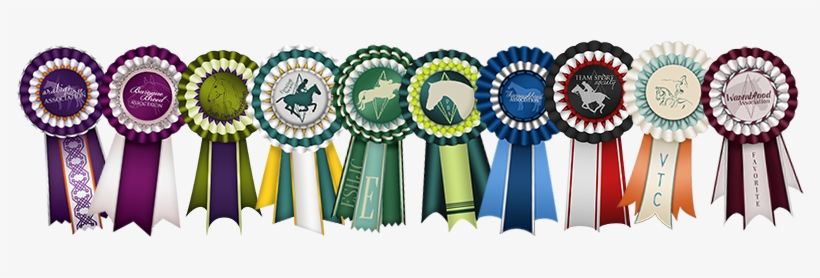 Picture - Sims 3 Horse Ribbon, transparent png download