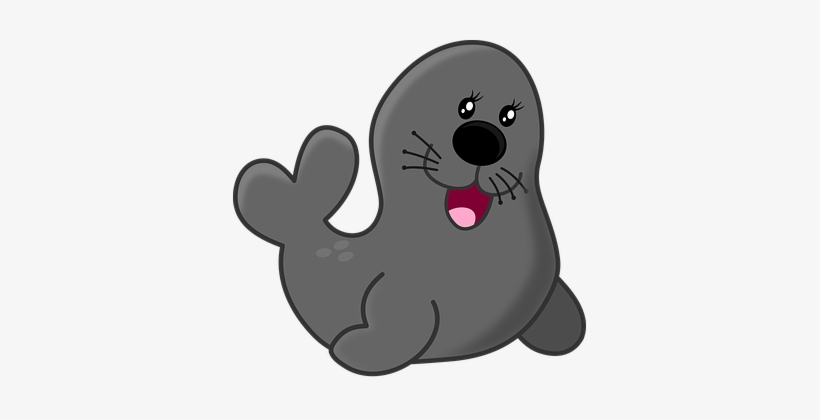 Seal Animals Aquarium Circus Sea Zoo Seal - Baby Seal Queen Duvet, transparent png download