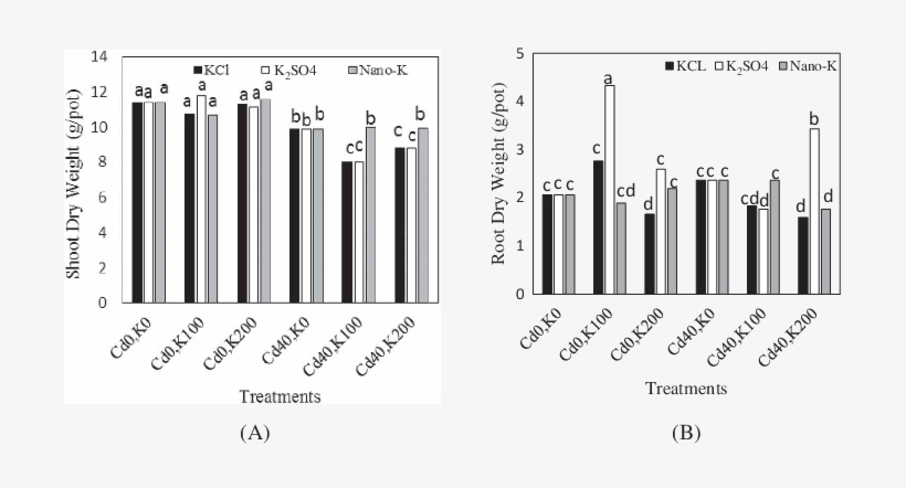 Effect Of K Forms And Levels (0, 100 And 200 Mg K Kg - Musical Keyboard, transparent png download