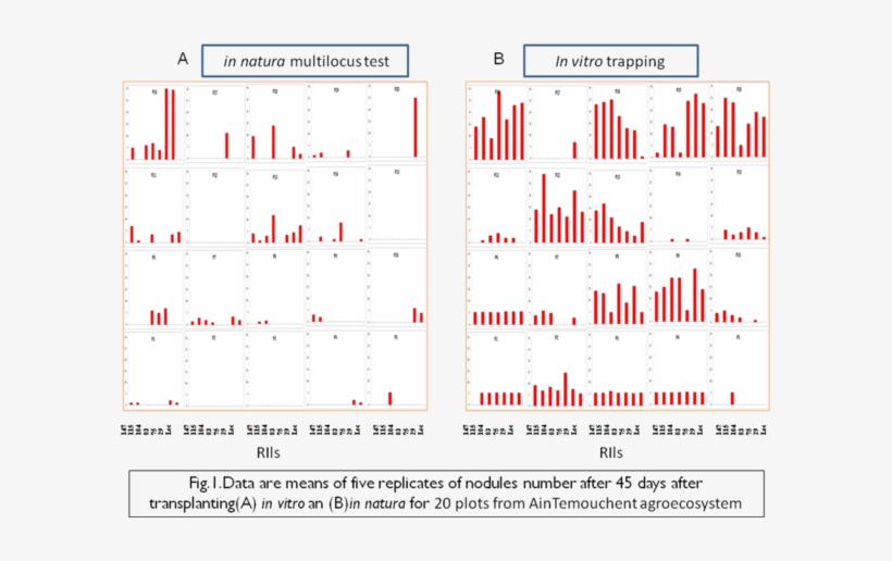 Benadis1 - Number, transparent png download