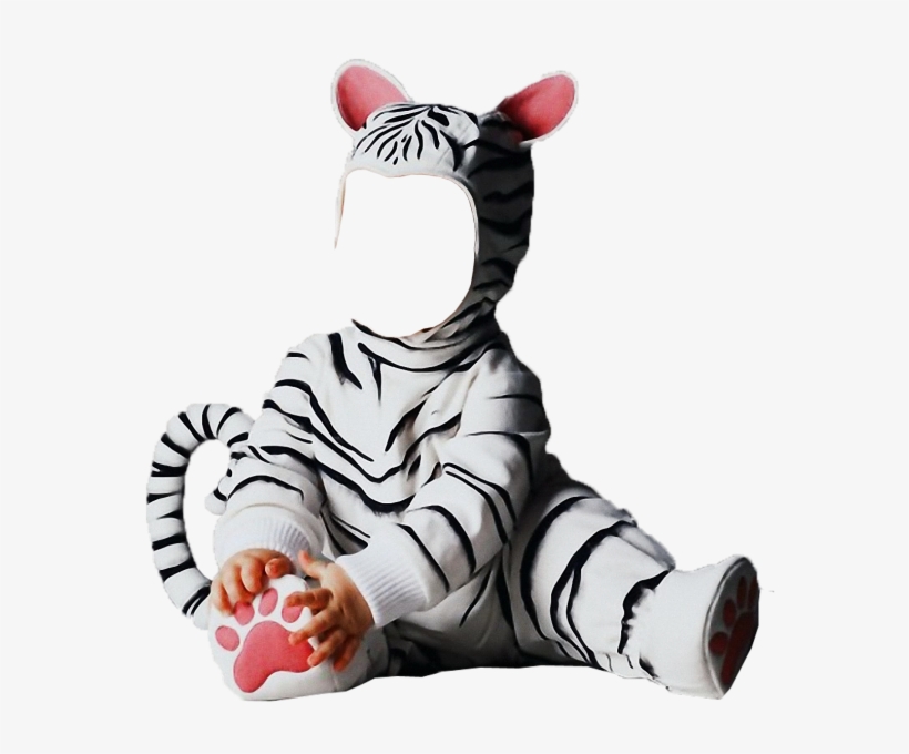 Máscaras Digitais De Fantasias De Animais Para Montagens - Singapore Zoo, transparent png download