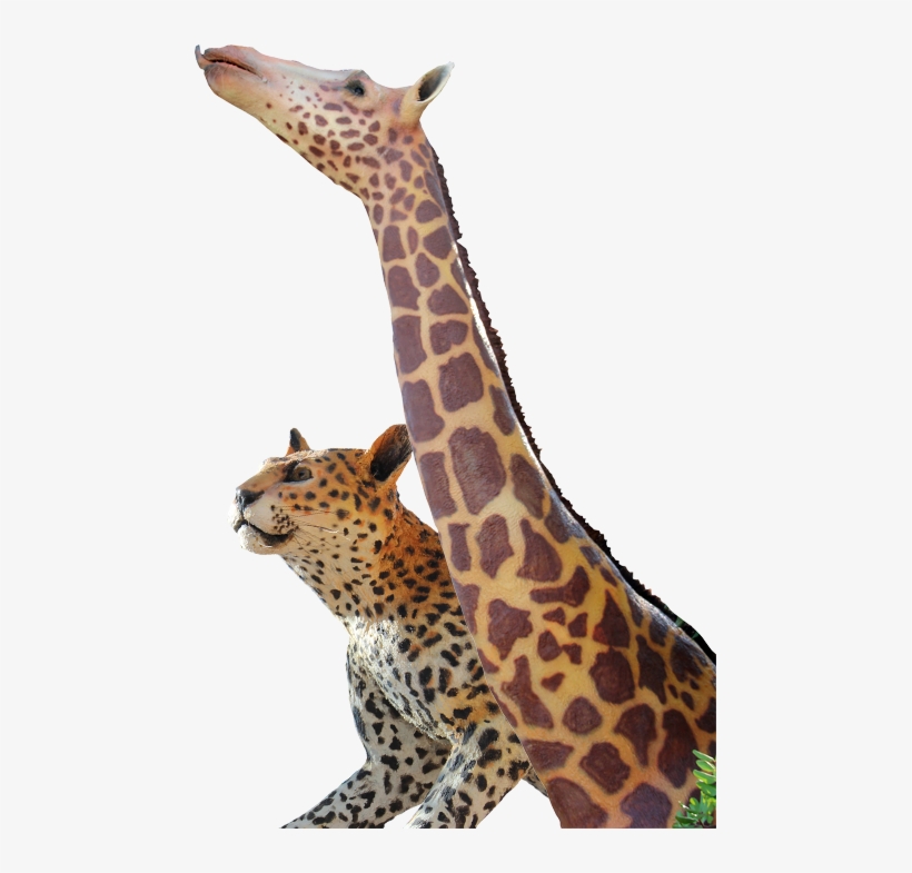 Dormir En Un Lodge O En Una Safari Tent Se Convertirá - Savanna, transparent png download