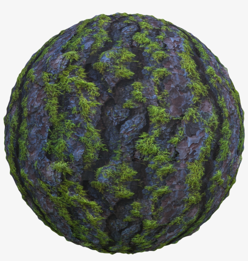 Seamless Mossy Tree Bark Texture - Circle, transparent png download