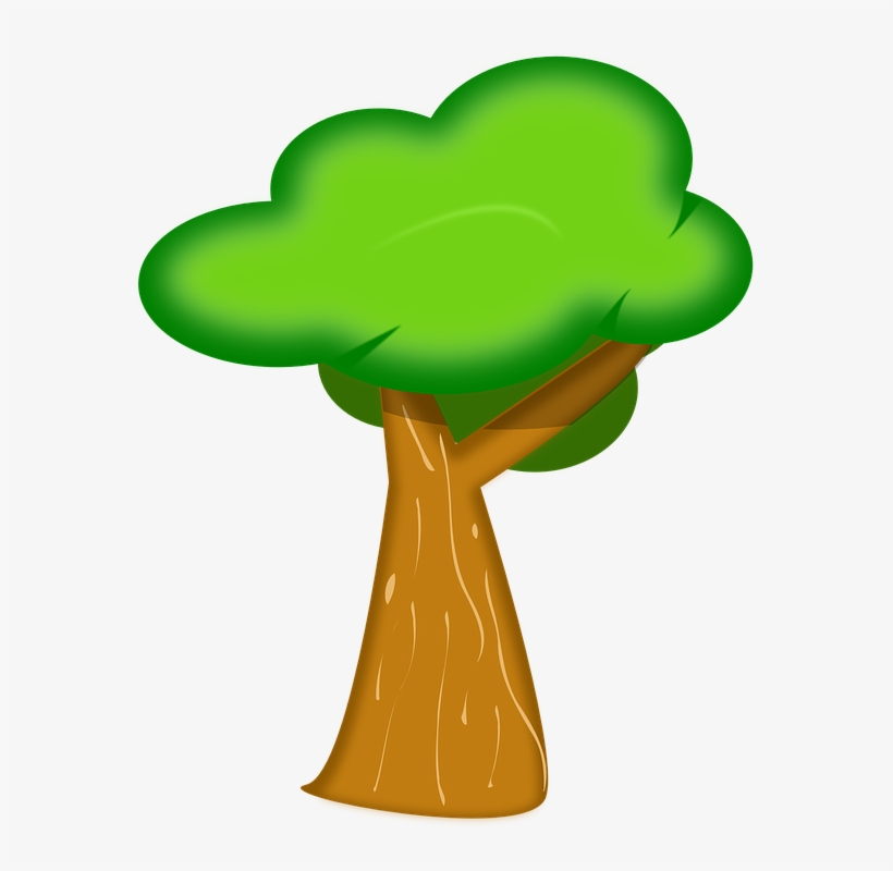 Tree Bark Coloring Pages - Trees Clip Art, transparent png download