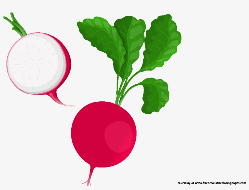 Radish Clipart Beetroot - Radish Clipart Png, transparent png download