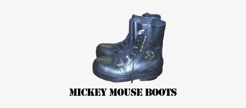mickey's surplus boots