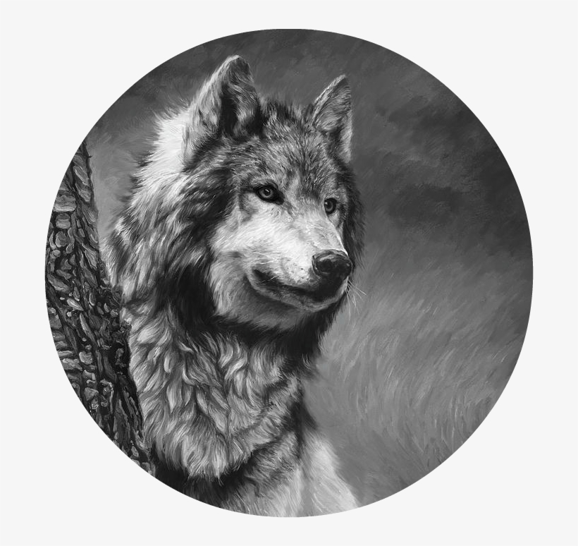 Gray Wolf Black And White Lucie Bilodeau - Gray Wolf - Black And White, transparent png download