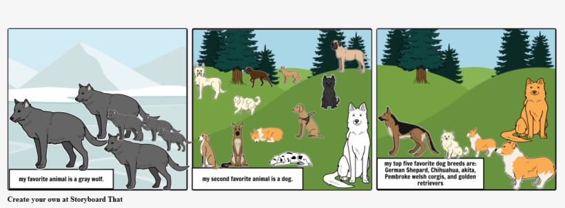 Dogs And Wolf - Canadian Eskimo Dog, transparent png download